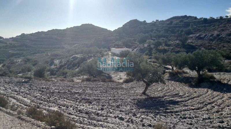 Foto 40527d86-0391-4606-9e1e-d7f3abe9f6e5. Finca rústica en Felix