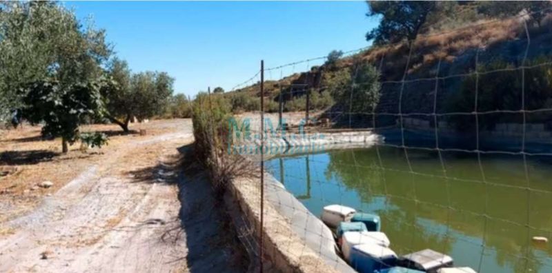 Foto 7b415e31-99fc-47fd-9977-7678e90b5b0b. Finca rústica en Felix