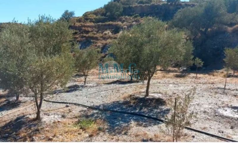 Foto c5a10684-fe79-4153-8090-c0cb519c1015. Finca rústica en Felix