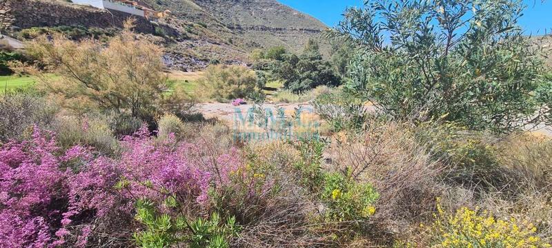 Foto a4aa427e-004d-4d07-ba34-7ff8802a74c9. Terreno residencial en La Envía Vícar
