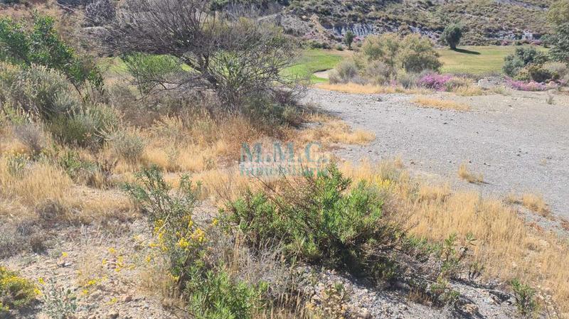 Foto c96d64f1-48cd-4fa1-9e67-931055a0c982. Terreno residencial en La Envía Vícar