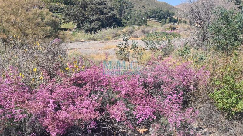 Foto d3b2be78-3a6e-4f59-bd64-d5a9d40b5fd3. Wohngrundstück in La Envía Vícar