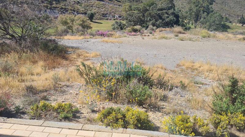 Foto ca531e20-f20d-4258-b973-5844ff60c000. Terreny residencial a La Envía Vícar