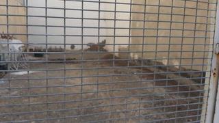 Terreno residencial en San Luis
