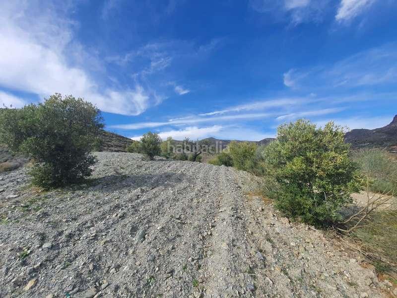 Foto e87c9804-4bea-4fe7-b794-0320f141f04a. Terreno residencial en Enix