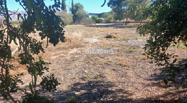 Foto dea1bda8-da86-43a1-ad7c-a9bdd820343a. Casa aparellada amb piscina a Albatera