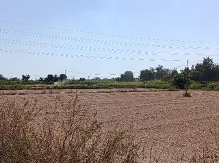 Finca rústica a Benejúzar