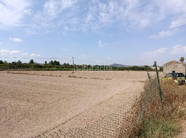 Foto ba34e0c4-39df-4d35-8884-1a8c3cfb1b6a. Finca rústica a Benejúzar