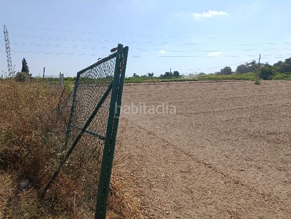 Foto c08e0c5f-888c-4d71-ac5f-bc7355297e9d. Finca rústica a Benejúzar