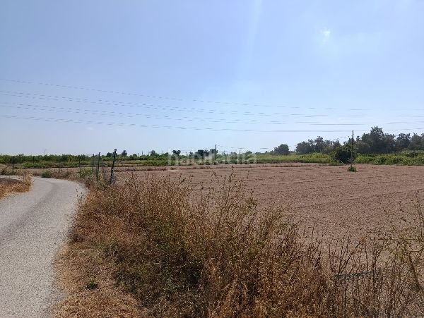 Foto c17aa9b1-a391-4d8e-9b58-d3c149e66619. Finca rústica a Benejúzar