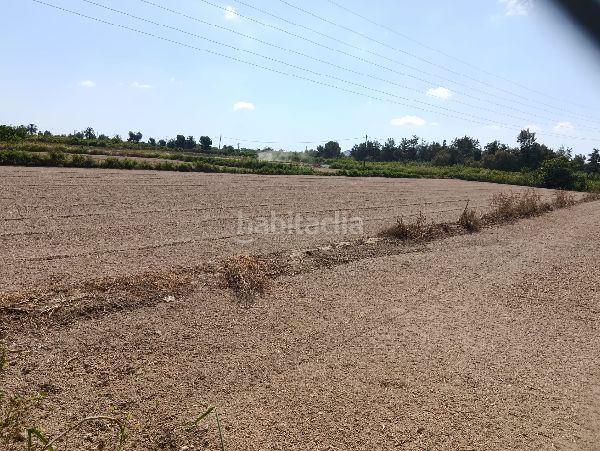 Foto e99ac897-01da-4cd5-9e10-366337d13c42. Finca rústica a Benejúzar