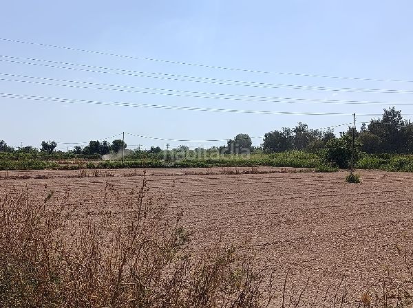 Foto 7e85a6e4-4a92-44f5-9362-b2a2d22d2050. Finca rústica a Benejúzar