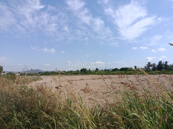 Foto b701d8b2-d888-4eff-89c4-e7bbcbd7968e. Finca rústica a Benejúzar