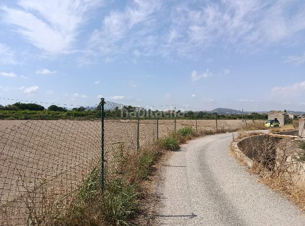 Foto d78f2639-fb9f-407c-acfb-a299416b5ec8. Finca rústica a Benejúzar