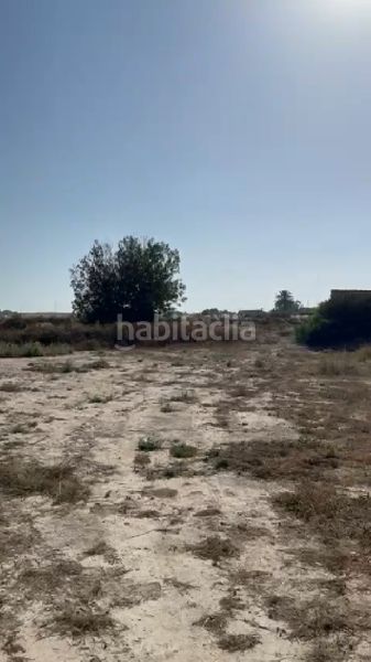Foto 34111bab-acb1-440c-95e9-6ed3d53e651b. Finca rústica a Centro Mutxamel