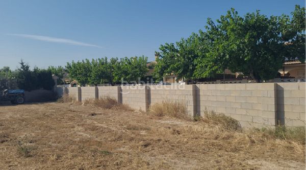 Foto 3fabff95-38b0-41d5-8158-948787e0302e. Finca rústica a Centro Mutxamel