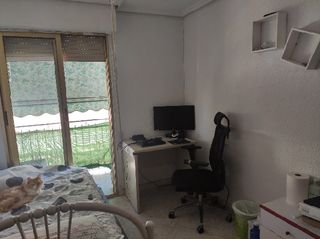 Appartamento in Carrús Oeste. !cdatapiso en el pla elche con rentabilidad 10 demostrada  4 hab