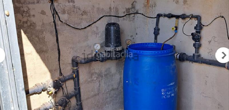 Foto 6e4054f6-2103-49d2-bc41-0dac54a9f387. Finca rústica !cdatafinca en la ptda de daimes en Elche / Elx