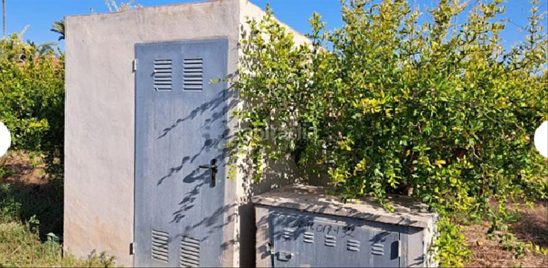 Foto aaf7be65-3382-4eed-a996-549af26c98f3. Finca rústica !cdatafinca en la ptda de daimes en Elche / Elx