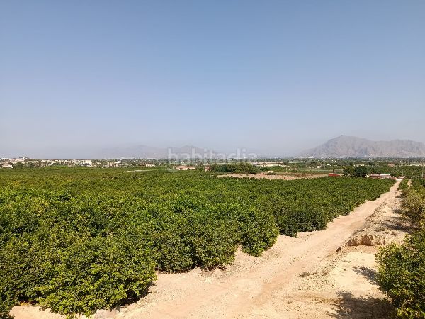 Foto 7ef13386-ca89-43ee-8f94-15d622736ba8. Finca rústica a Jacarilla