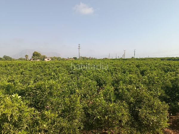 Foto 926d4bcb-5dae-4917-b998-5781ac8f5e07. Finca rústica a Jacarilla