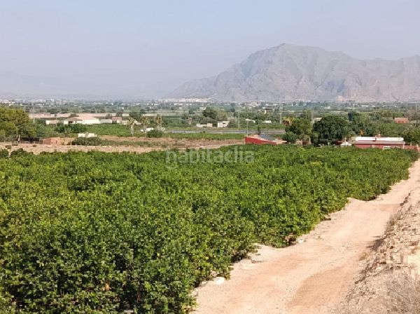 Foto cf7aada7-c7e5-455b-a27b-3d692624b045. Finca rústica a Jacarilla