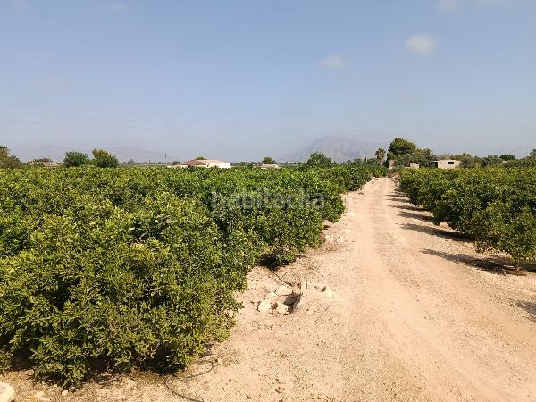Foto d0309276-b1d2-4838-87b1-cedf265c3123. Finca rústica a Jacarilla