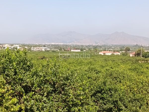 Foto edace483-9ce4-4f8f-9ae7-1fbddd83aff7. Finca rústica a Jacarilla