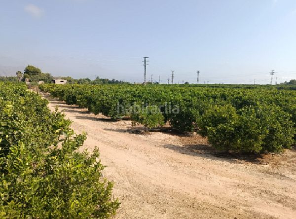 Foto ff7562b5-6483-4804-9f98-d11050a34669. Finca rústica a Jacarilla