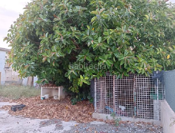 Foto 6107b820-fb37-4d10-92f8-a3301484de86. Casa aparellada a Daya Nueva