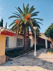 Xalet a Nou Altabix. !cdataocasion unica en elche! chalet con parcela 950 m2 en ciuda