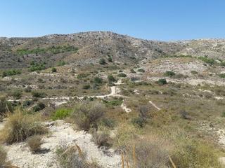 Finca rústica en Jubalcoi. !cdatase venden 36000 metros de terreno para cultivo en pda. fer