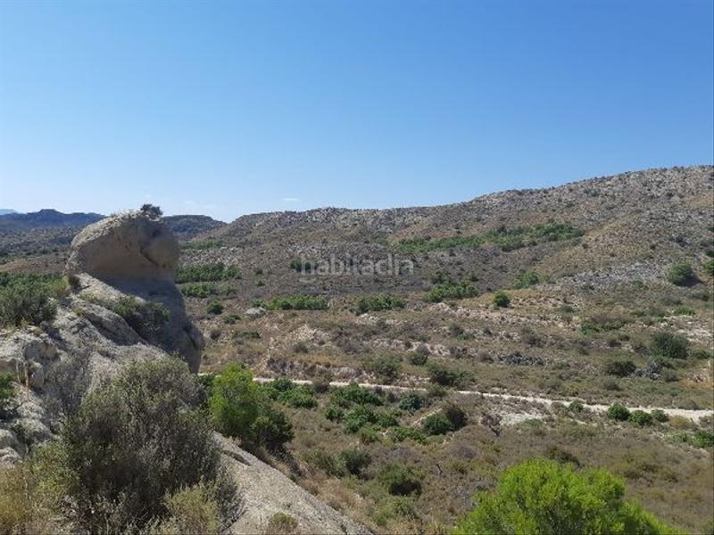 Foto d4ea2edc-b3b7-4fcf-a8cc-76bacd031b11. Propriété dans Jubalcoi Elche / Elx