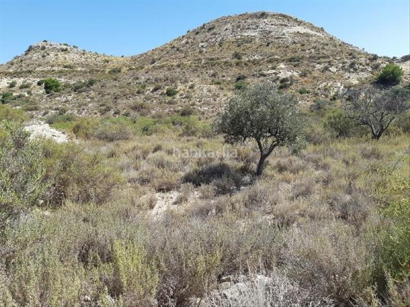 Foto db3c1bc1-4483-4c8e-868d-0b57b9167c5c. Propriété dans Jubalcoi Elche / Elx