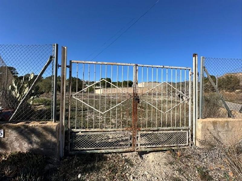 Foto 510f0263-f25c-45c2-a588-8d57c9794ae3. Nave industrial !cdataoportunidad nave en la romana en Romana (la)