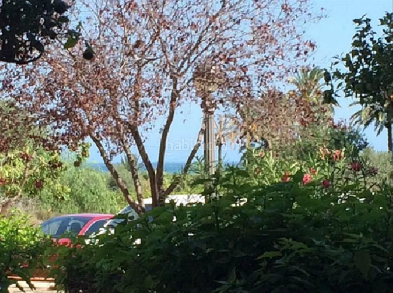 Foto 01af9fd6-b857-4044-97cd-d4ecd1d3bbea. Locale commerciale in La Marina Elche / Elx