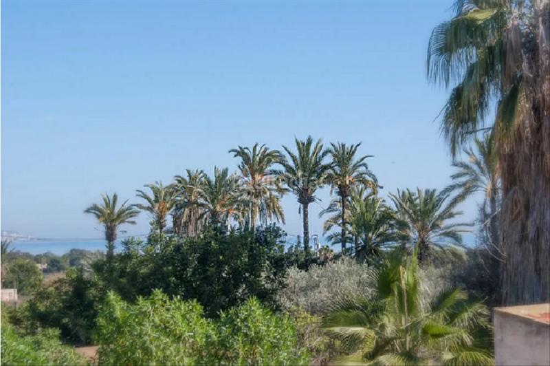 Foto 5bc525d1-896f-41ac-9691-51ed4453fafa. Locale commerciale in La Marina Elche / Elx