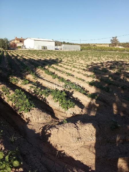 Foto 5b89c297-0b5b-46e9-ae3b-571404895cf3. Casa pareada !cdatacasa rural 177m2 con cochera y terreno de cultivo 11.653m2 en orihuela en Jacarilla