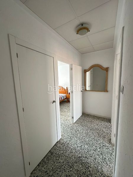 Foto 5b1e7b12-471a-421a-9dd0-678e52c528ac. Casa aparellada a Almoradí