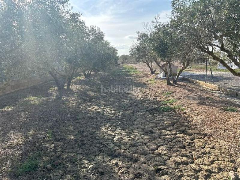 Foto 65fb1171-9ebd-4347-b3ab-9e5b512787db. Casa aparellada amb calefacció a Carrús Oeste Elche / Elx