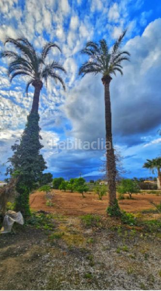 Foto 35843d25-a393-4b8a-9581-99a1e427ccc4. Casa aparellada a La Algoda - Matola - Llano de San José Elche / Elx