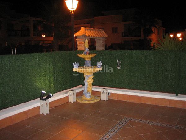 Foto f2160516-abd4-4f93-aee4-520531bdd400. Casa aparellada a Almoradí