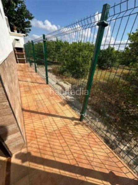 Foto 939a712a-569e-4c22-980c-bd331a54fef9. Casa aparellada a Catral