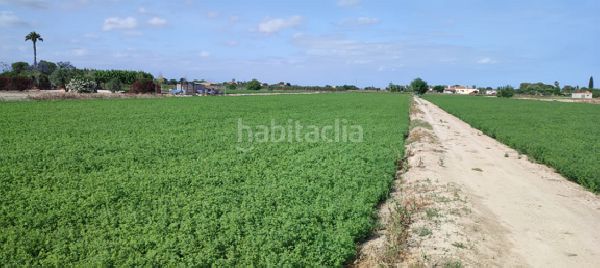Foto 4b799204-3b57-4ca1-a843-e53e782e141c. Finca rústica a Dolores