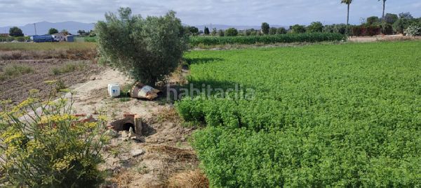 Foto 8ab452b8-b651-4292-96a1-e1657d12b957. Finca rústica a Dolores