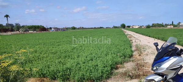 Foto fe1b4acd-5c64-4ffb-a1f3-e6cd611b539a. Finca rústica a Dolores