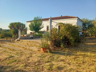 Chalet in Puebla del Río (La). Finca rústica a 1 km de la puebla del río  3.300 m2, vivienda y