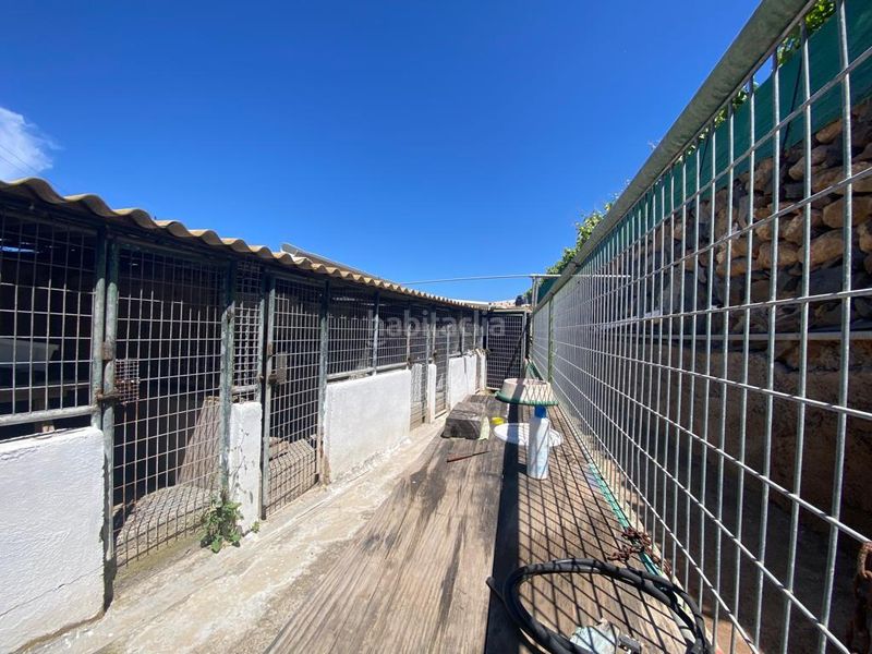 Foto 070718d7-6db0-4dc6-bf4c-56e1fd97618d. Masia a Guía de Isora interior Guía de Isora