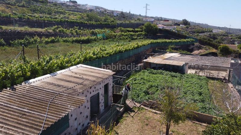 Foto 78e8b72a-0c15-4f04-9a51-7c97e18c91bc. Masia a Guía de Isora interior Guía de Isora