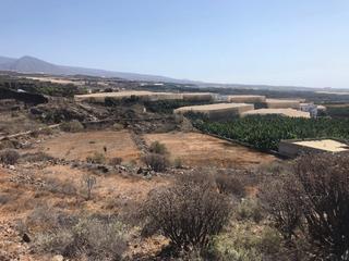 Terreny residencial a Alcalá. Finca agrícola el vinco tu refugio natural en, alcalá guía de is
